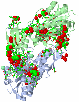 Image Asym./Biol. Unit - sites