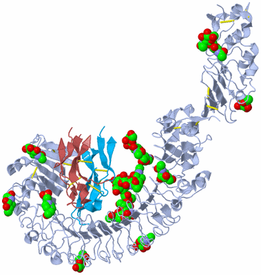 Image Asym./Biol. Unit