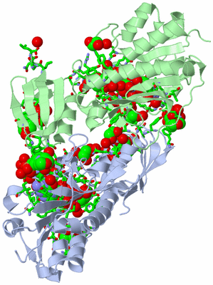 Image Asym./Biol. Unit - sites