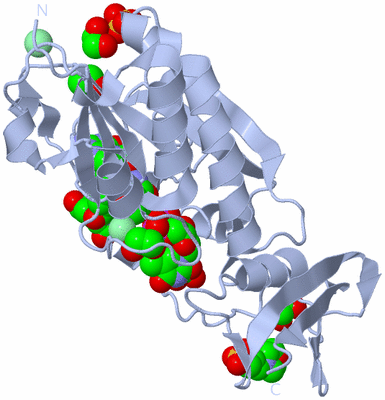 Image Biological Unit 2