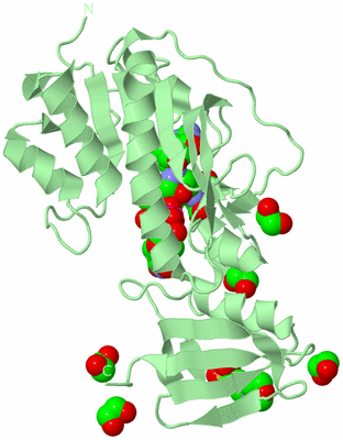 Image Biological Unit 3