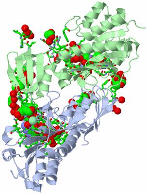 Image Asym./Biol. Unit - sites