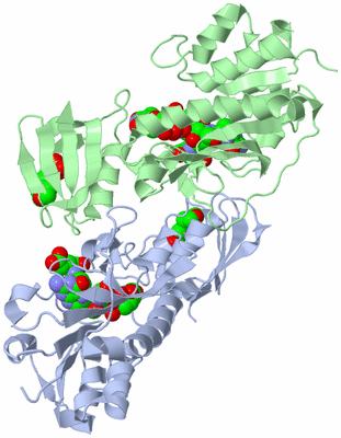 Image Asym./Biol. Unit