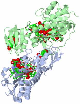 Image Asym./Biol. Unit - sites