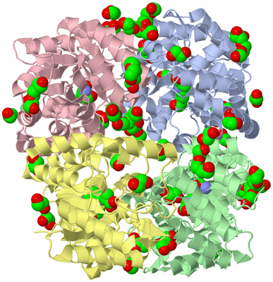 Image Asym./Biol. Unit