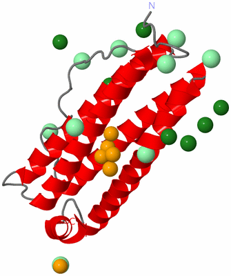 Image Asymmetric Unit