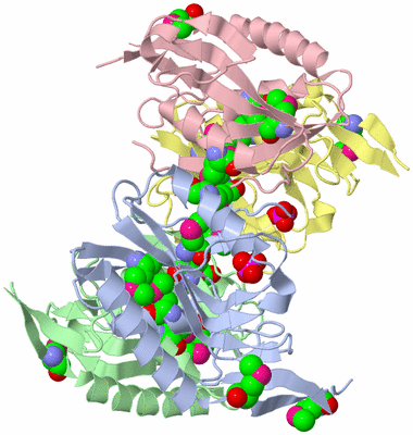 Image Asym./Biol. Unit