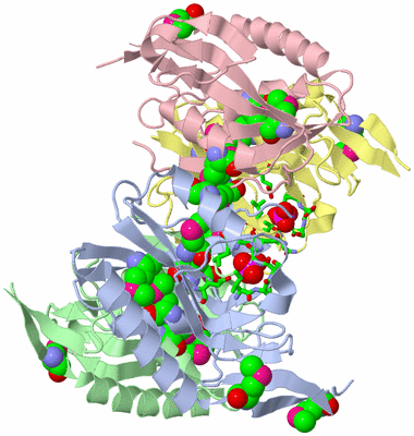 Image Asym./Biol. Unit - sites