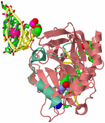 Image Asym./Biol. Unit - sites