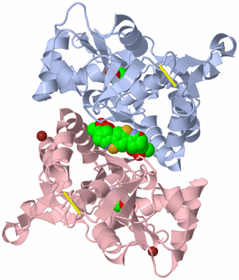 Image Biological Unit 1