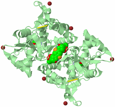 Image Biological Unit 2