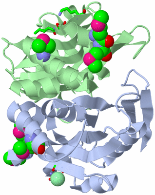 Image Asym./Biol. Unit - sites