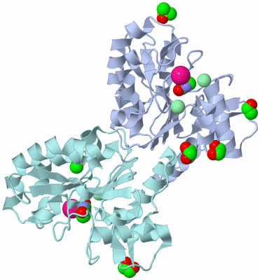 Image Biological Unit 1