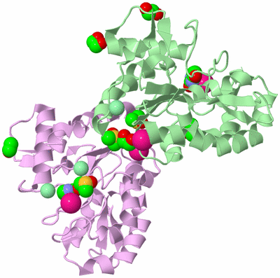 Image Biological Unit 2