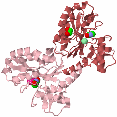 Image Biological Unit 3