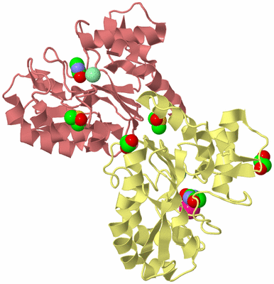 Image Biological Unit 4