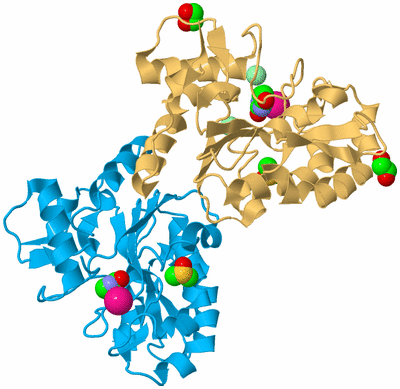 Image Biological Unit 5