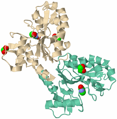 Image Biological Unit 6