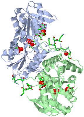 Image Asym. Unit - sites