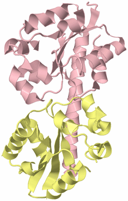 Image Biological Unit 2