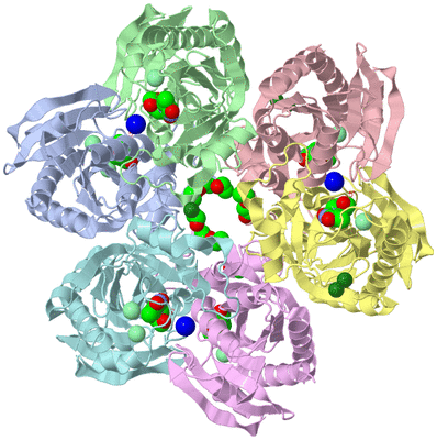 Image Asym./Biol. Unit