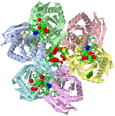 Image Asym./Biol. Unit - sites