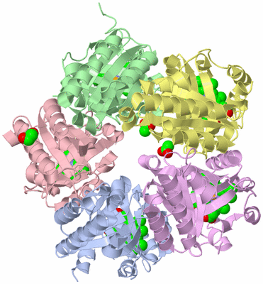 Image Asym./Biol. Unit