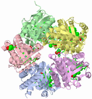 Image Asym./Biol. Unit - sites