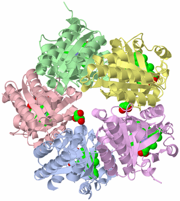 Image Asym./Biol. Unit