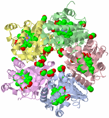 Image Asym./Biol. Unit