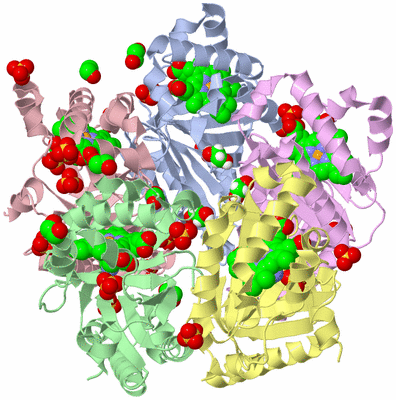 Image Asym./Biol. Unit