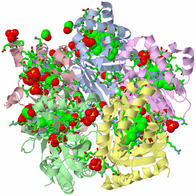 Image Asym./Biol. Unit - sites