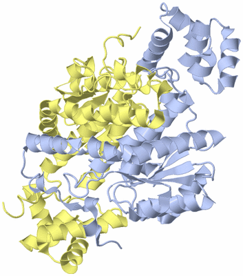 Image Biological Unit 1