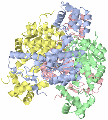 Image Biological Unit 3