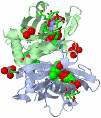 Image Biol. Unit 1 - sites