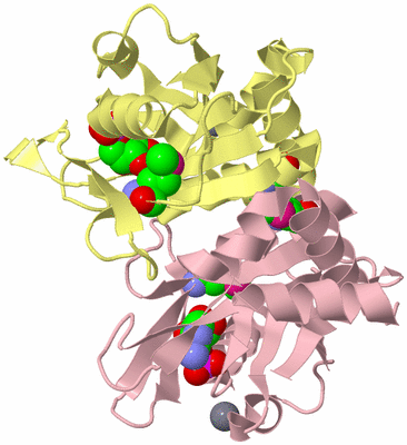 Image Biological Unit 2