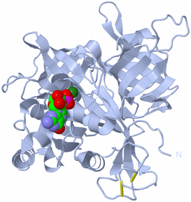 Image Biological Unit 1