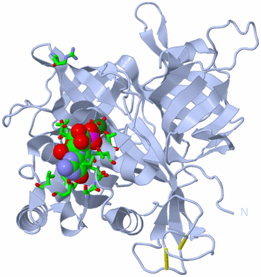 Image Biol. Unit 1 - sites