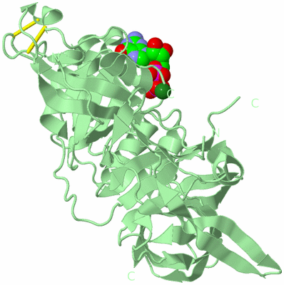 Image Biological Unit 2