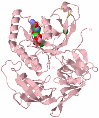 Image Biological Unit 3