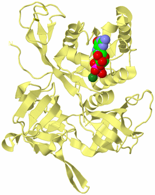 Image Biological Unit 4