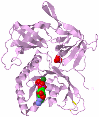 Image Biological Unit 5