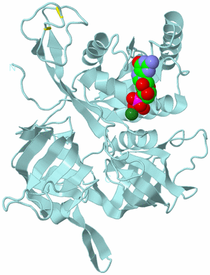 Image Biological Unit 6