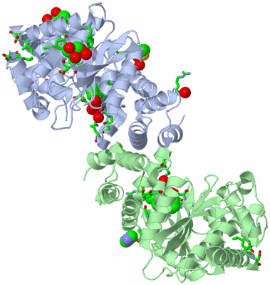 Image Asym./Biol. Unit - sites