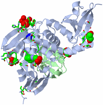 Image Asym./Biol. Unit - sites