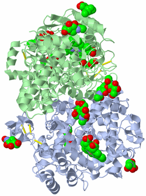 Image Biological Unit 1