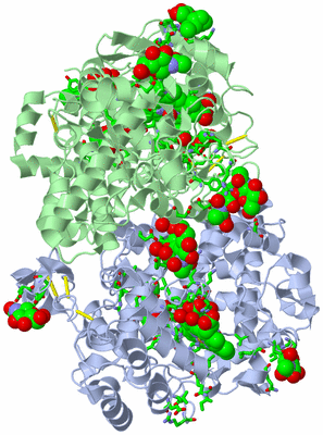 Image Biol. Unit 1 - sites