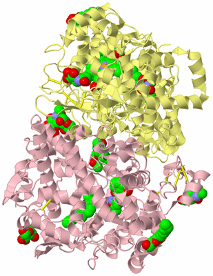 Image Biological Unit 2