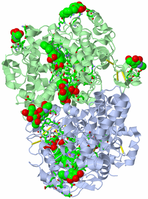 Image Biol. Unit 1 - sites