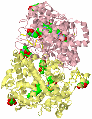 Image Biological Unit 2